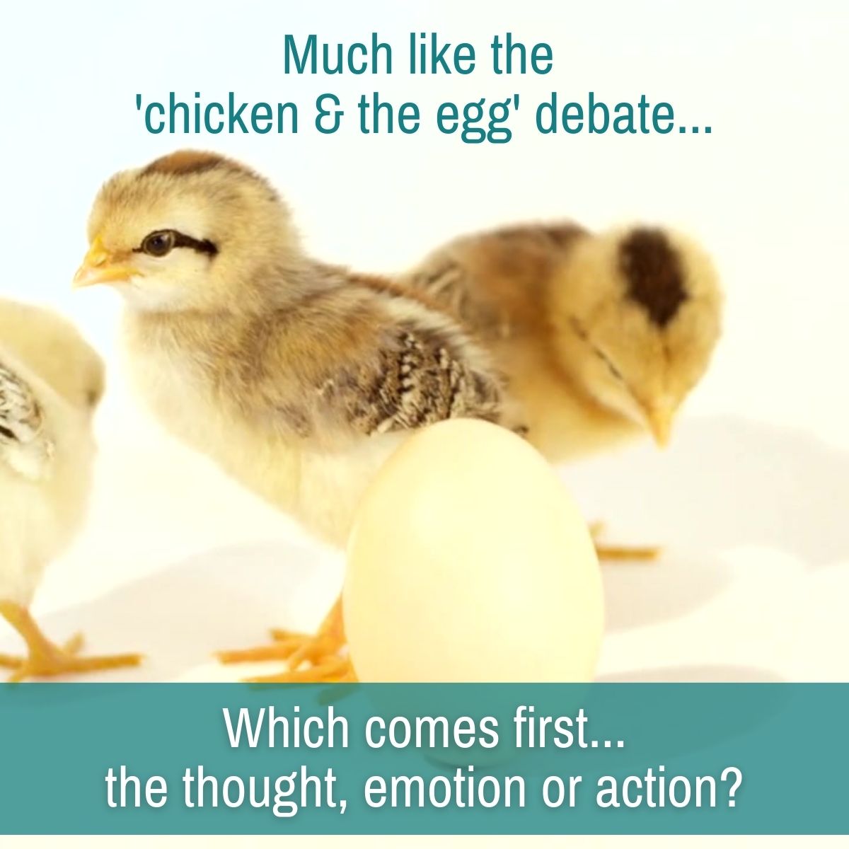 chicken-egg-thought-emotion-action